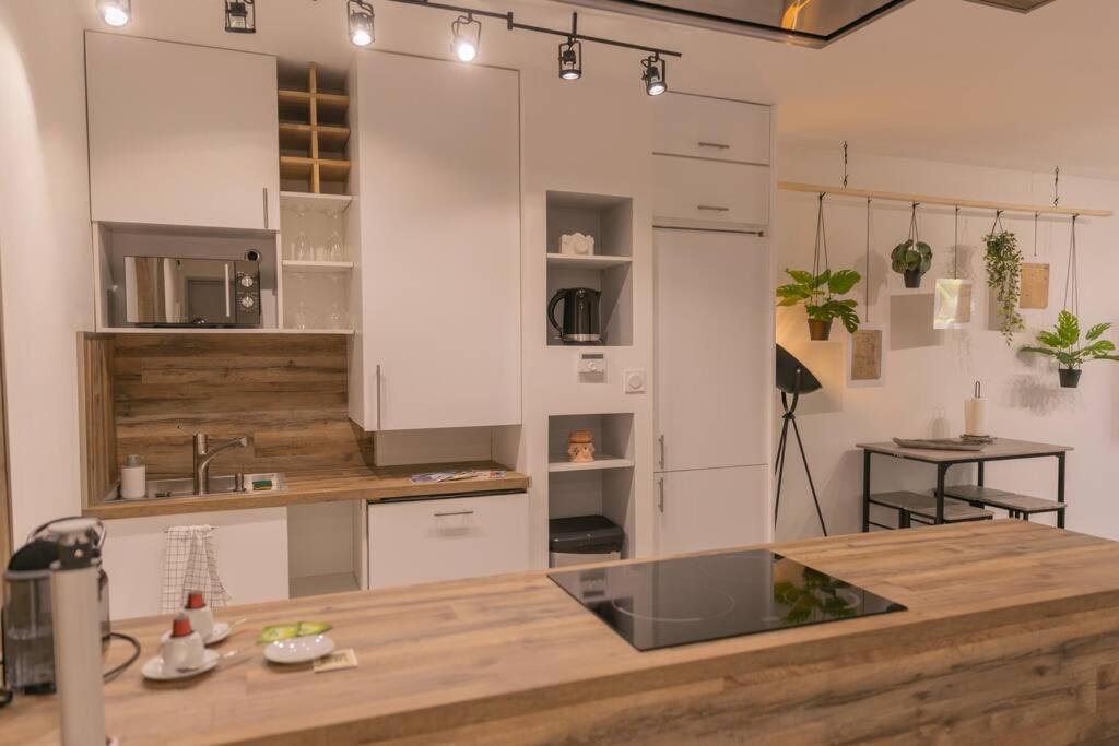 Superbe Appart Plein Centre Avec Parking & Jardin Metz Zewnętrze zdjęcie